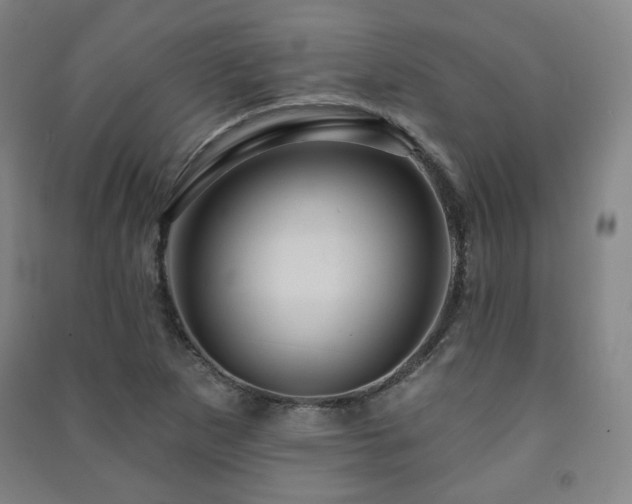 X0000091461265200708161515