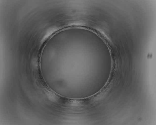 X0000091461266200708161515