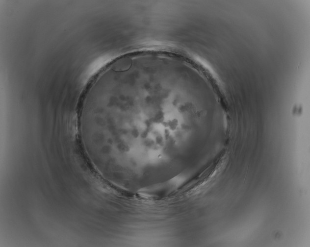 X0000091461267200708161515