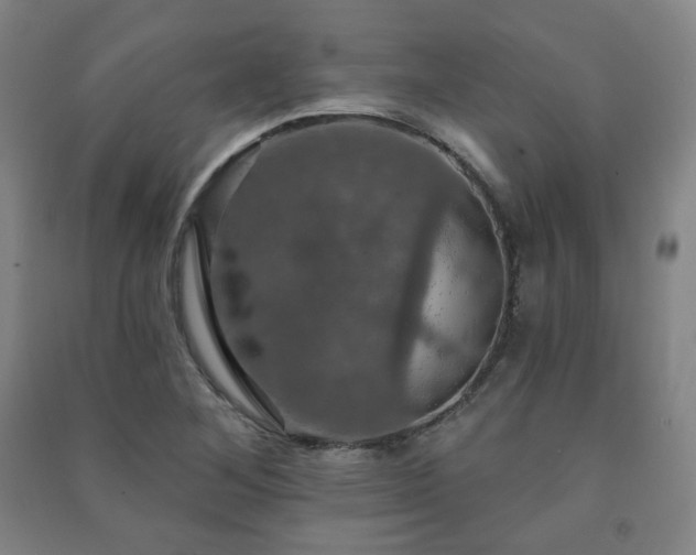 X0000091461268200708161515