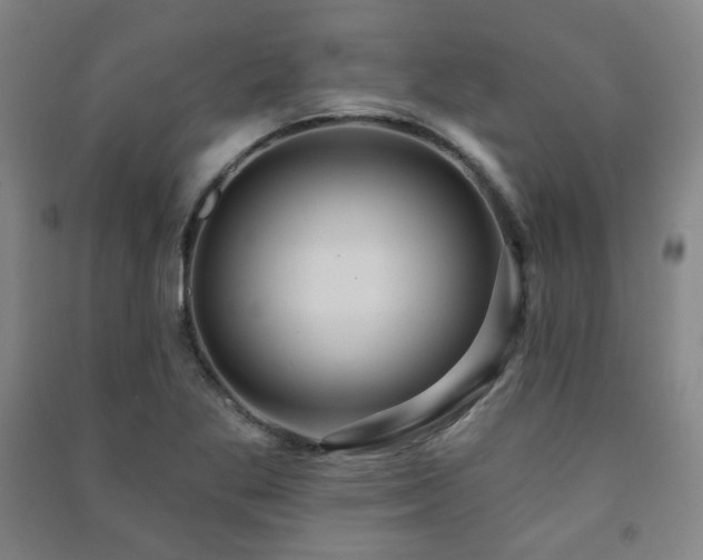 X0000091461269200708161515