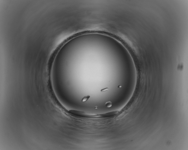 X0000091461270200708161515