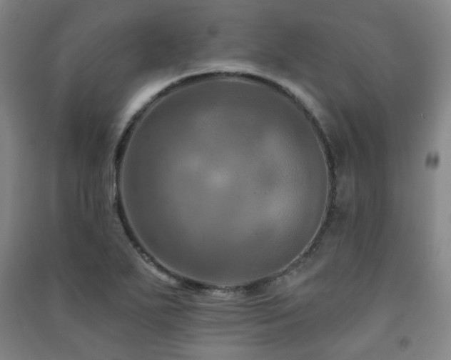 X0000091461271200708161515