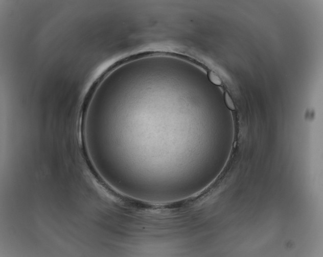 X0000091461272200708161515