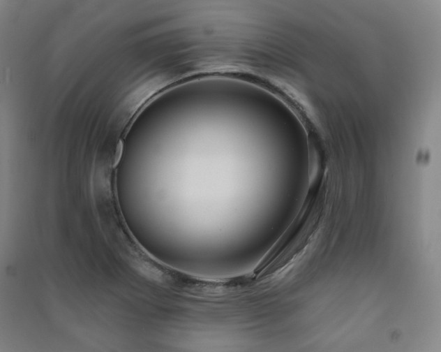 X0000091461273200708161515