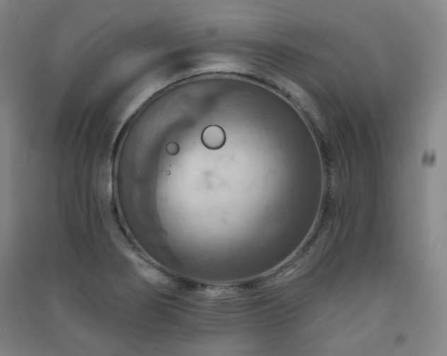 X0000091461274200708161515