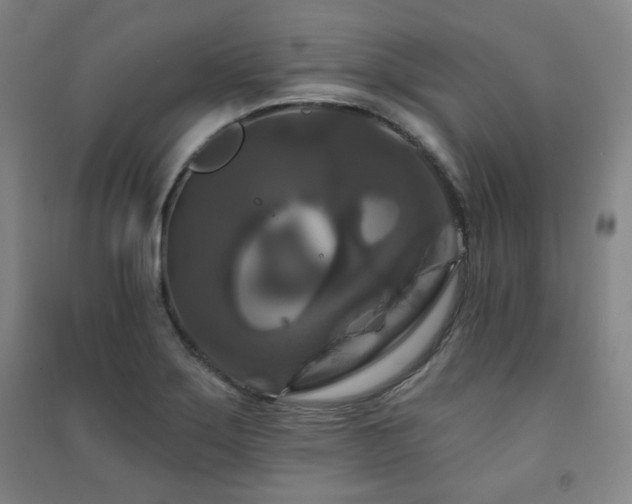X0000091461275200708161515