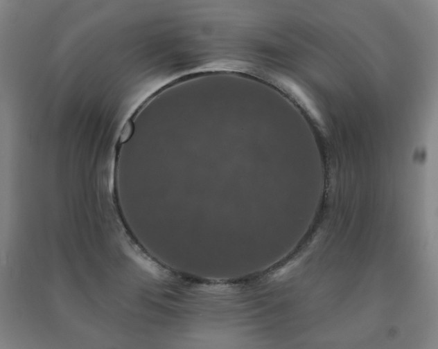 X0000091461276200708161515