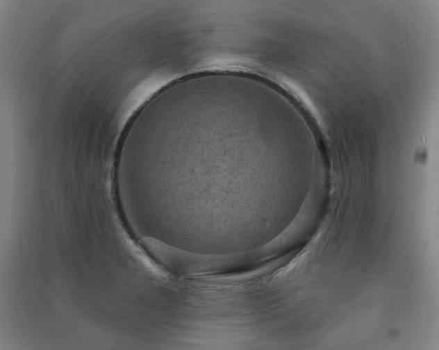 X0000091461277200708161515