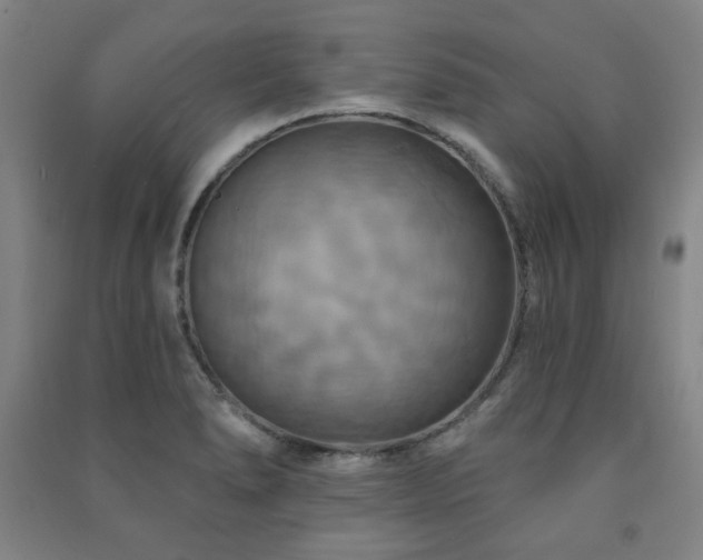 X0000091461278200708161515