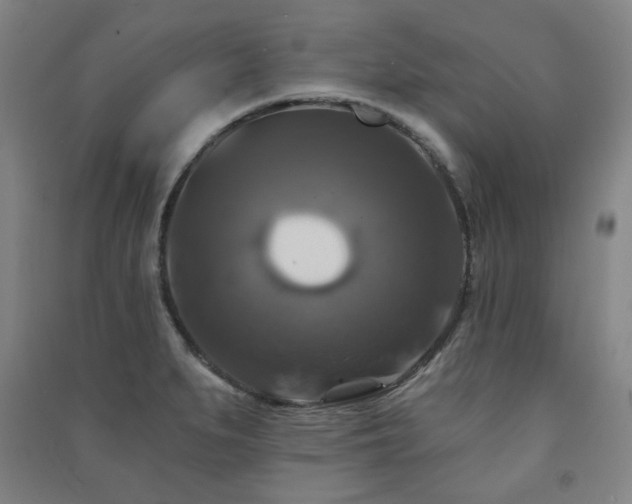 X0000091461279200708161515