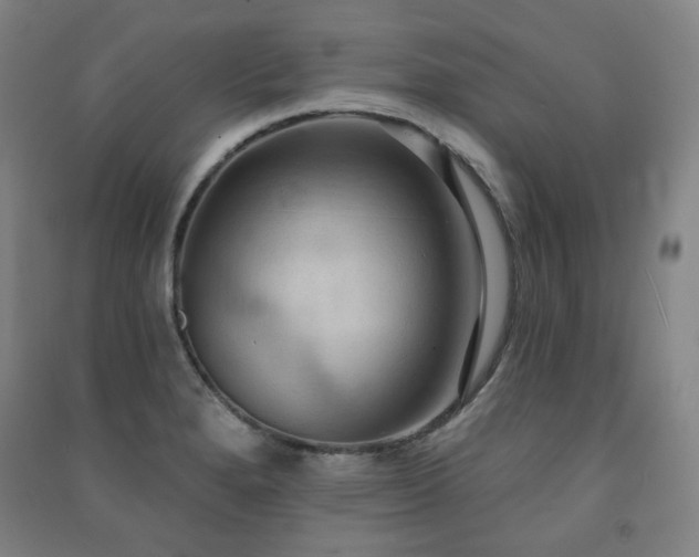 X0000091461280200708161515
