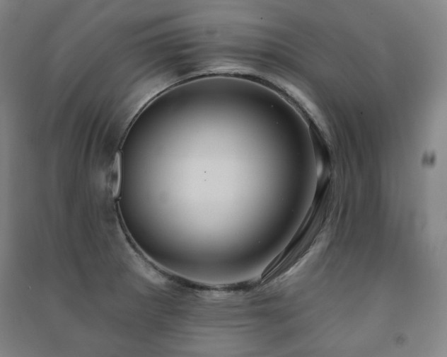 X0000091461281200708161515