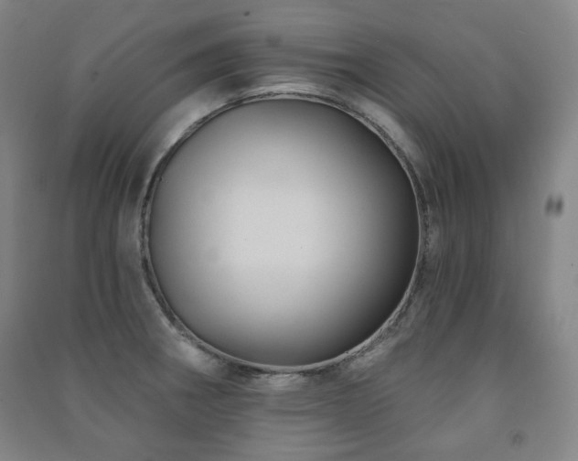 X0000091461282200708161515