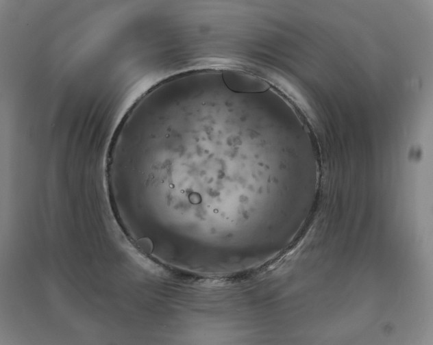 X0000091461283200708161515