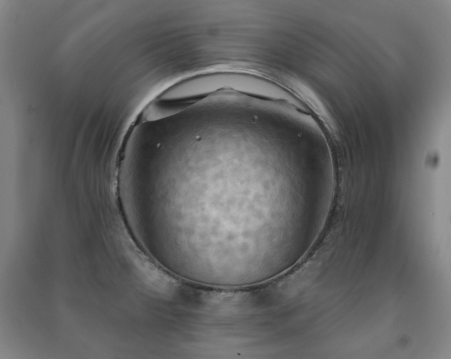 X0000091461284200708161515
