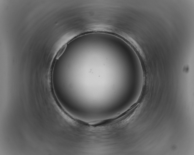 X0000091461285200708161515