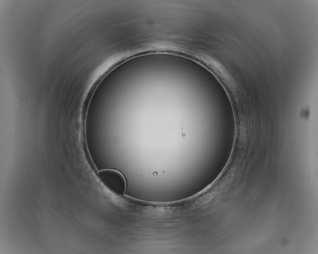 X0000091461286200708161515