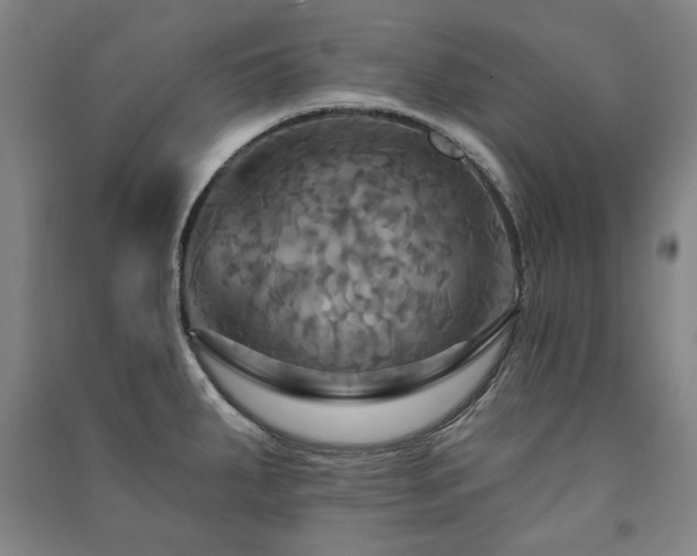 X0000091461287200708161515