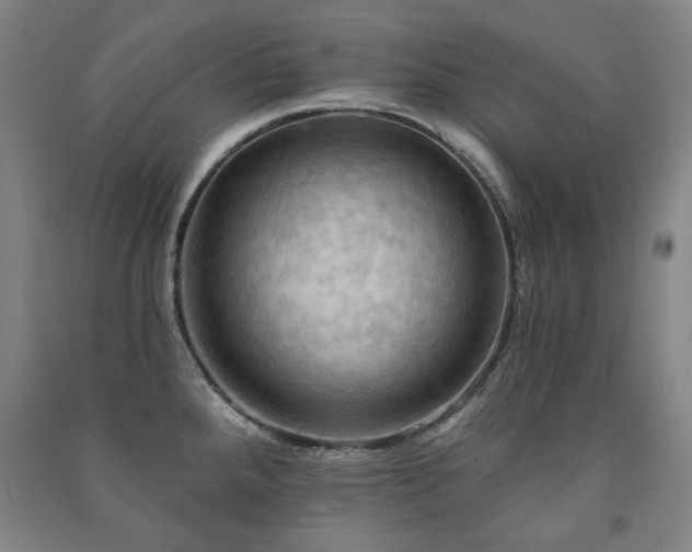 X0000091461288200708161515