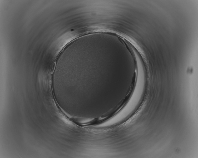 X0000091461289200708161515