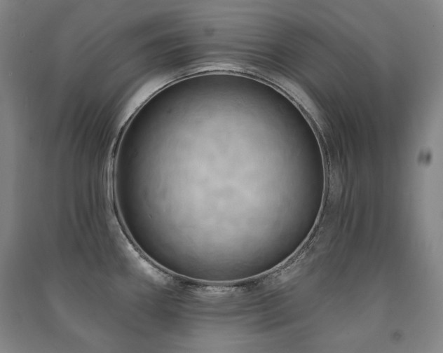 X0000091461290200708161515