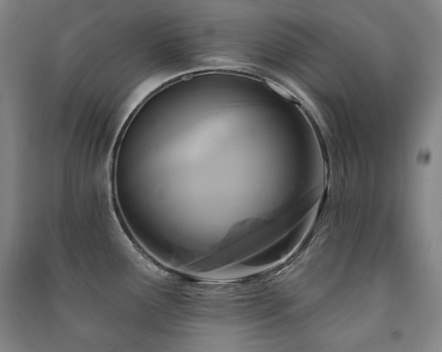 X0000091461291200708161515