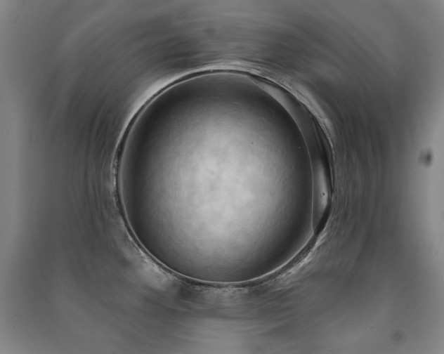 X0000091461292200708161515
