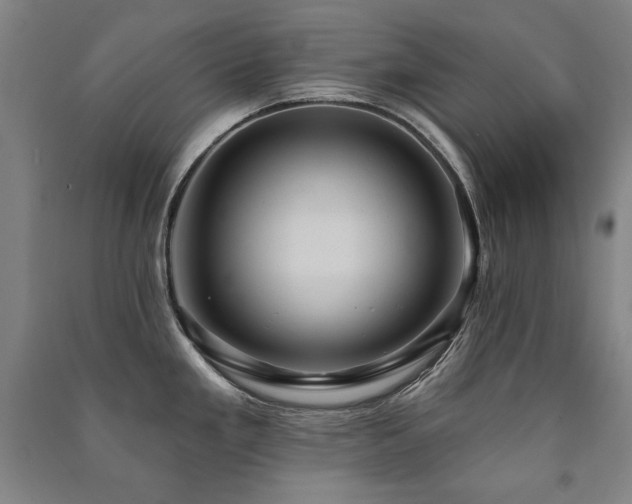 X0000091461293200708161515