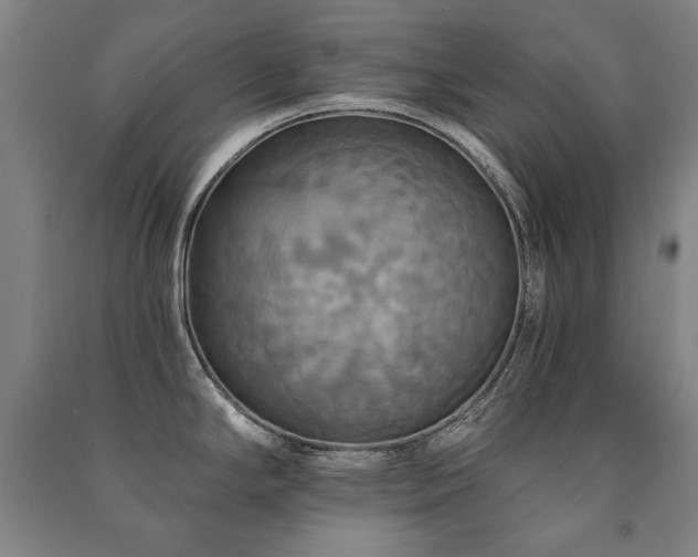 X0000091461294200708161515