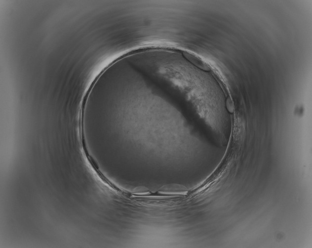 X0000091461295200708161515
