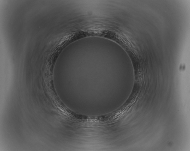 X0000091461297200708161514