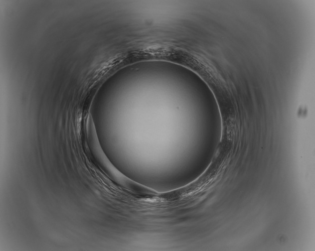 X0000091461298200708161514