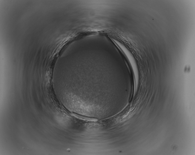 X0000091461300200708161514