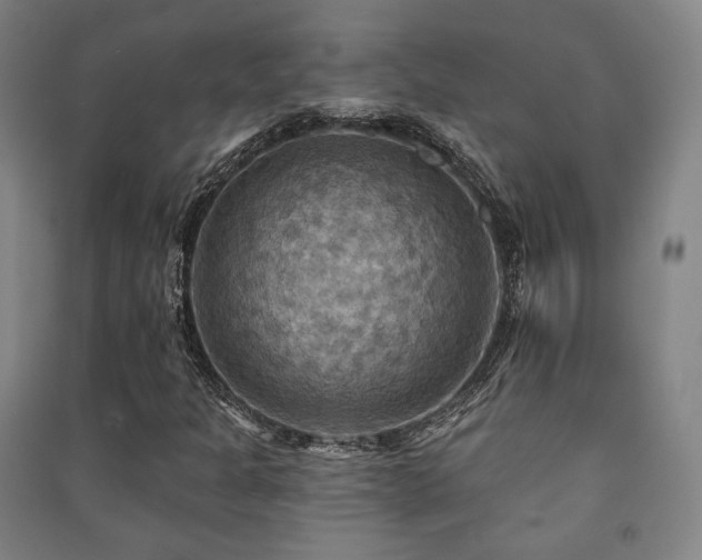 X0000091461301200708161514