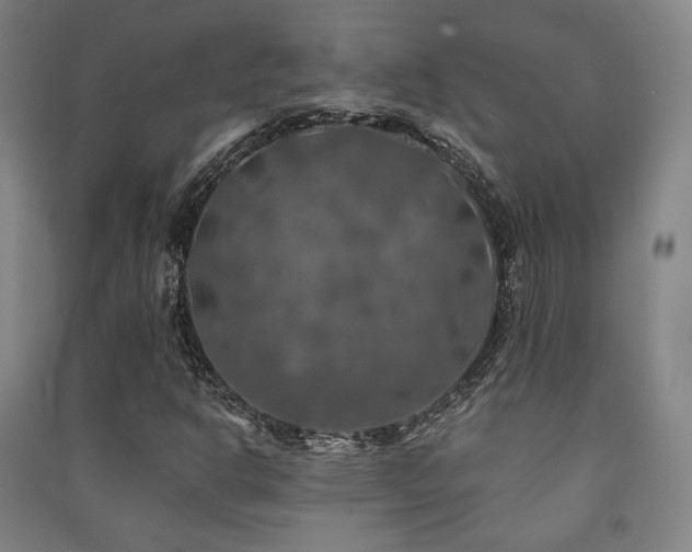 X0000091461302200708161514