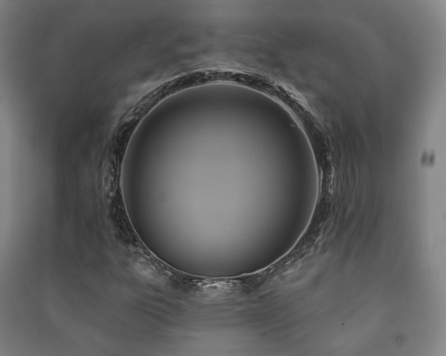 X0000091461303200708161514