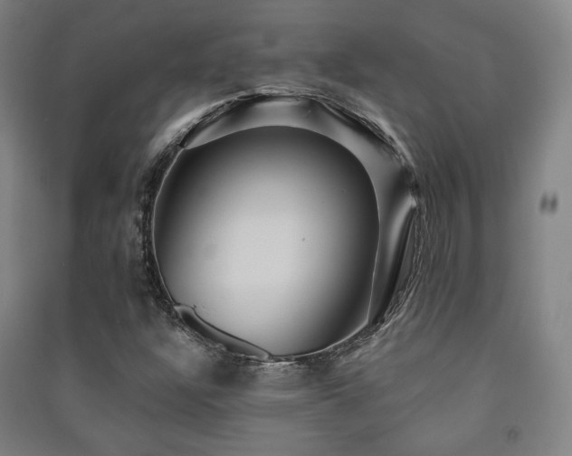 X0000091461304200708161514
