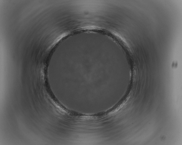 X0000091461305200708161514