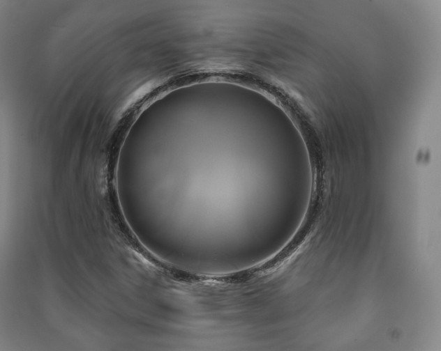 X0000091461306200708161514
