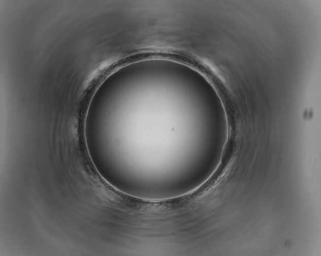 X0000091461307200708161514