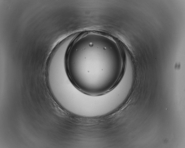 X0000091461308200708161514