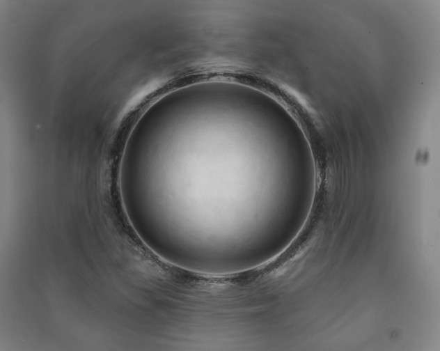 X0000091461309200708161514