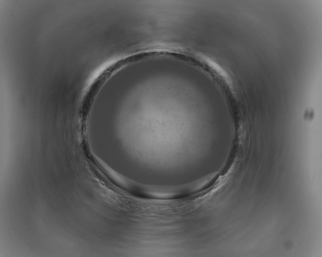 X0000091461310200708161514