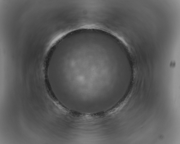 X0000091461311200708161514