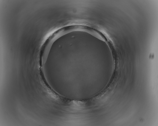 X0000091461312200708161514