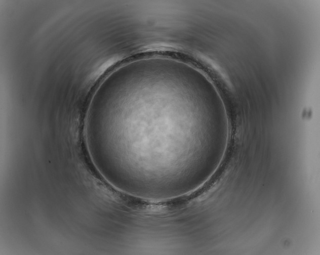 X0000091461313200708161514