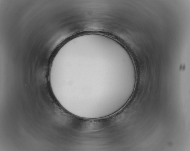 X0000091461314200708161514