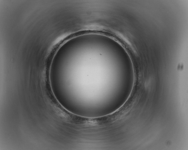 X0000091461315200708161514