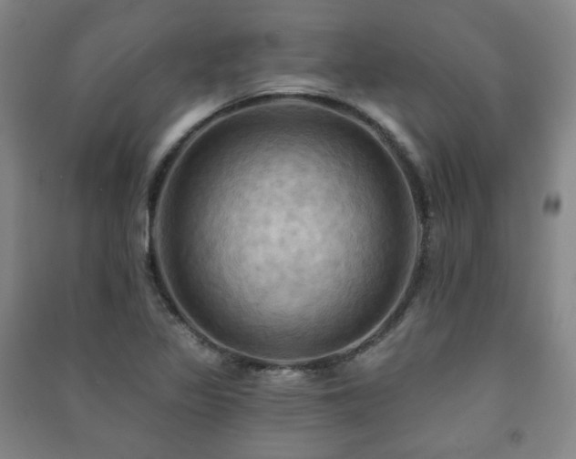 X0000091461317200708161514